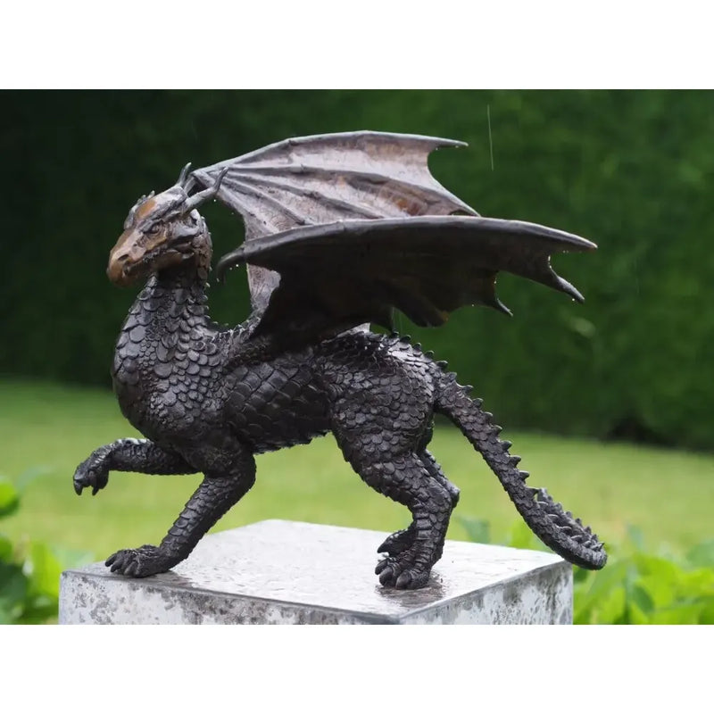 Dragon — BS2308B
