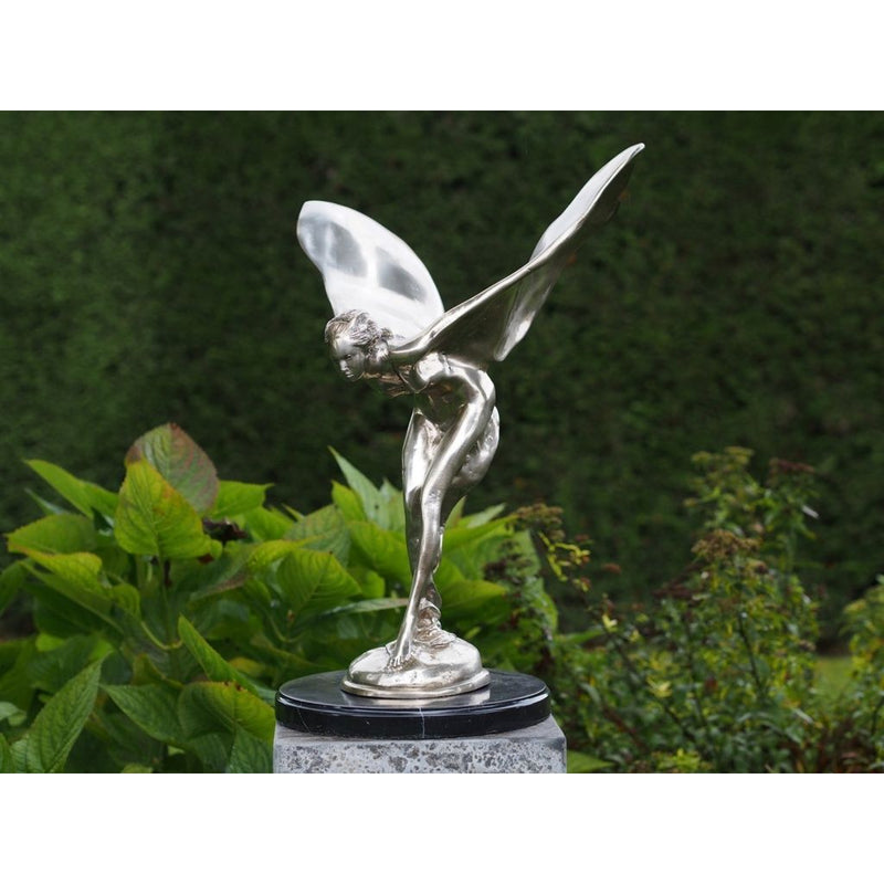 Femme Volant Argentée — BS4182S