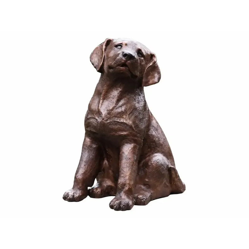 Labrador Puppy — BS4731B