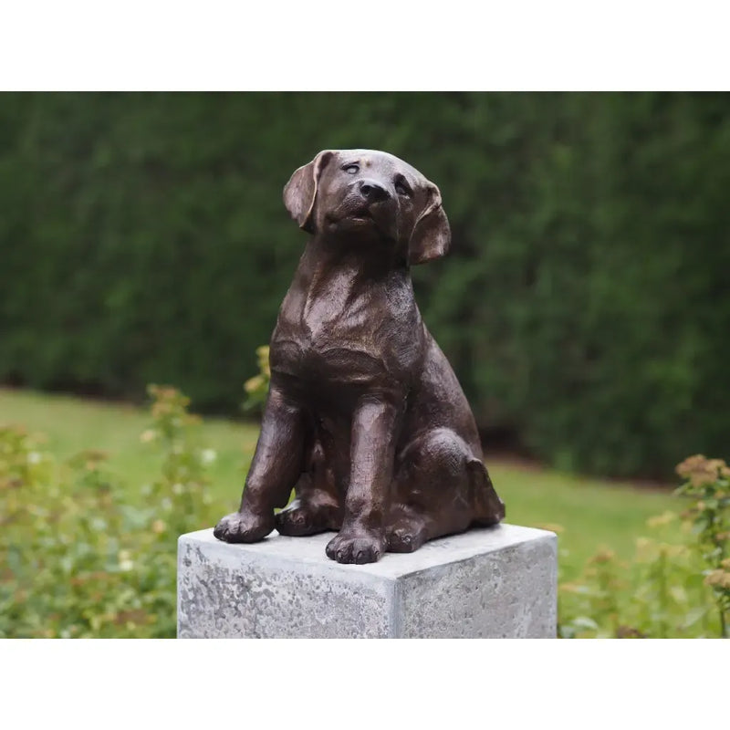 Labrador Puppy — BS4731B