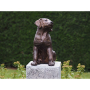 Labrador Puppy — BS4731B