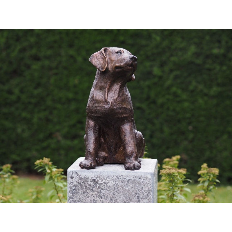 Labrador Puppy — BS4731B
