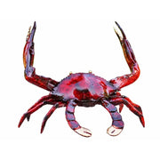 Crabe Rouge — BS5115C