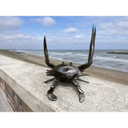 Crabe bleu L — BS6305C