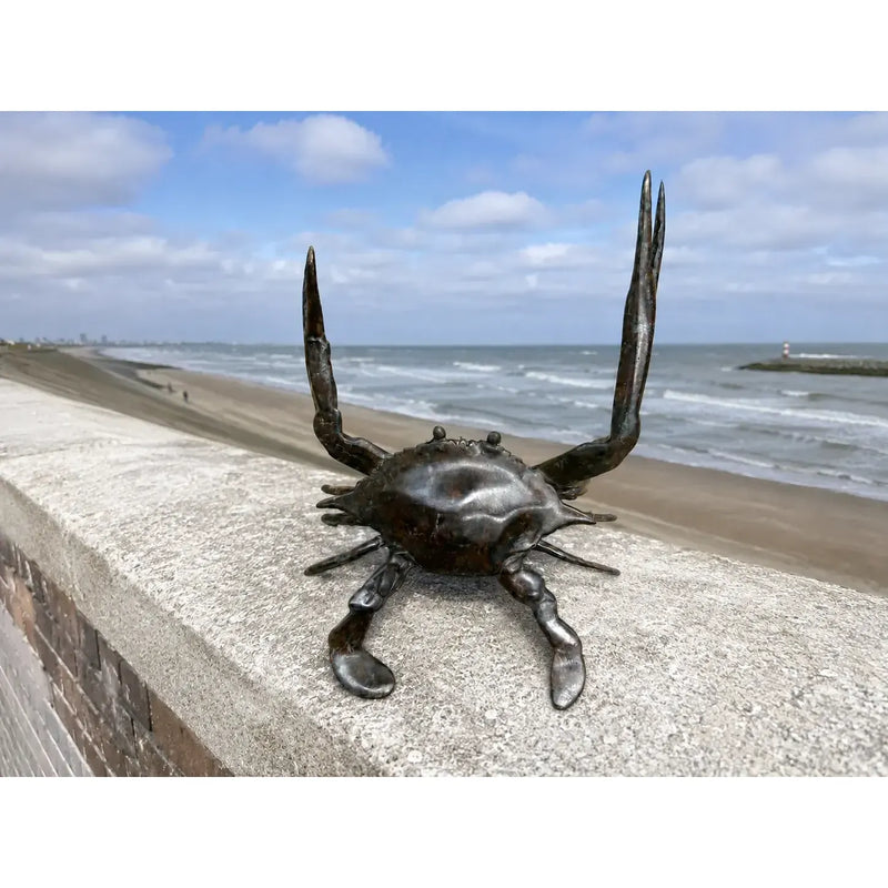 Crabe bleu L — BS6305C