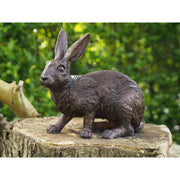 Lapin — BS9824B