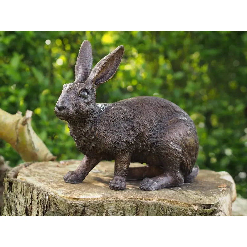 Lapin — BS9824B