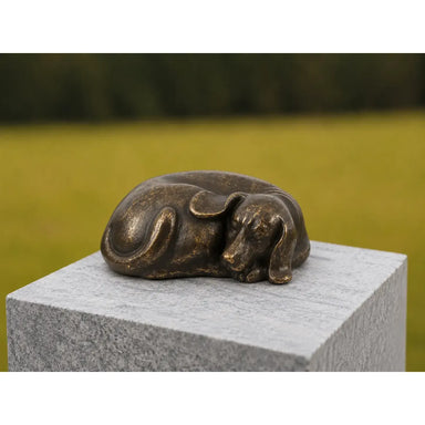 Urne Chien Dormant — FV0682BRW-BI