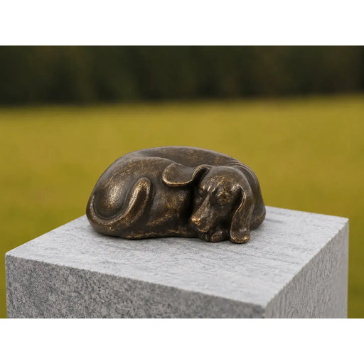 Urne Chien Dormant — FV0682BRW-BI