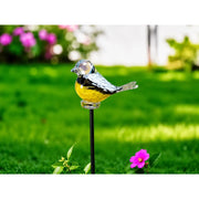 Petit oiseau Jaune/noir M6 - 60 cm (6) — GD30115
