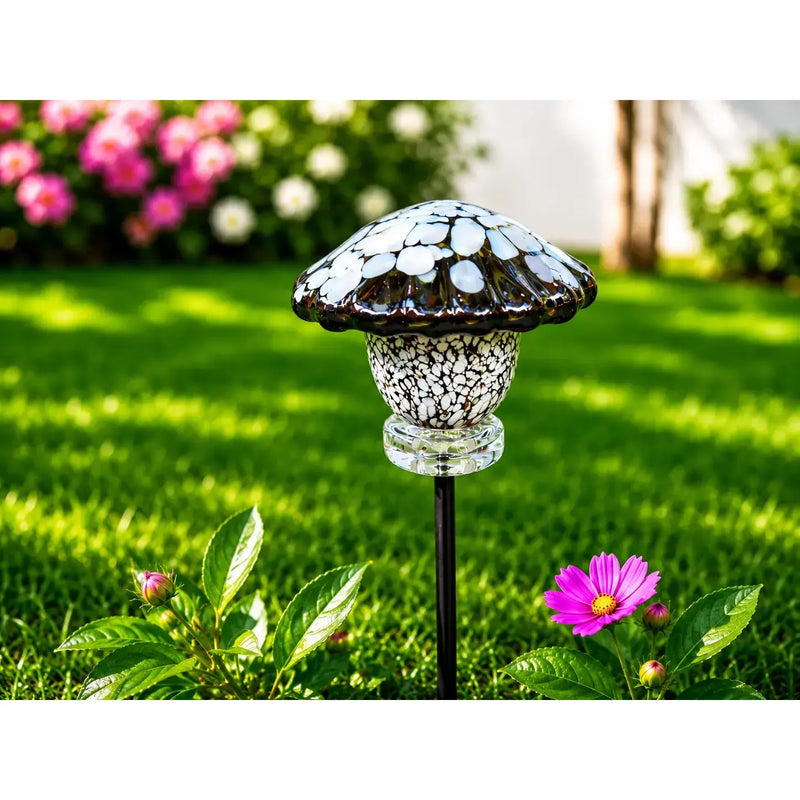 Champignon brun/blanc 7 cm M6 - 60 cm (6) — GD30219