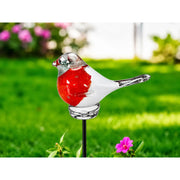 Petit Rougegorge M6 (6) — GD30239