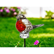 Rougegorge tacheté M8 - 75 cm (6) — GD30240