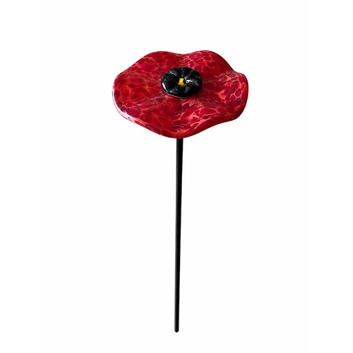 Coquelicot sur tige de jardin M6 - 50 cm (6) — GD30246
