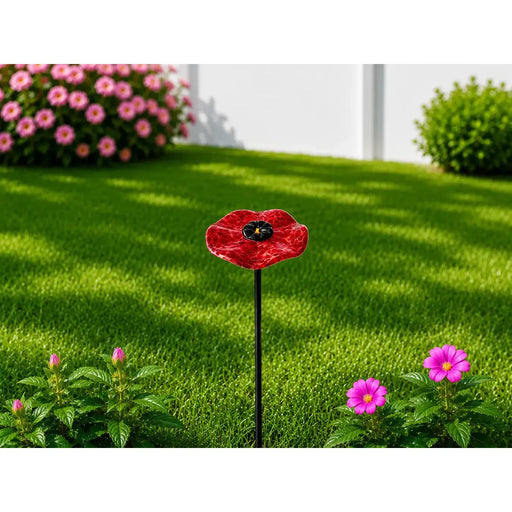 Coquelicot sur tige de jardin M6 - 50 cm (6) — GD30246