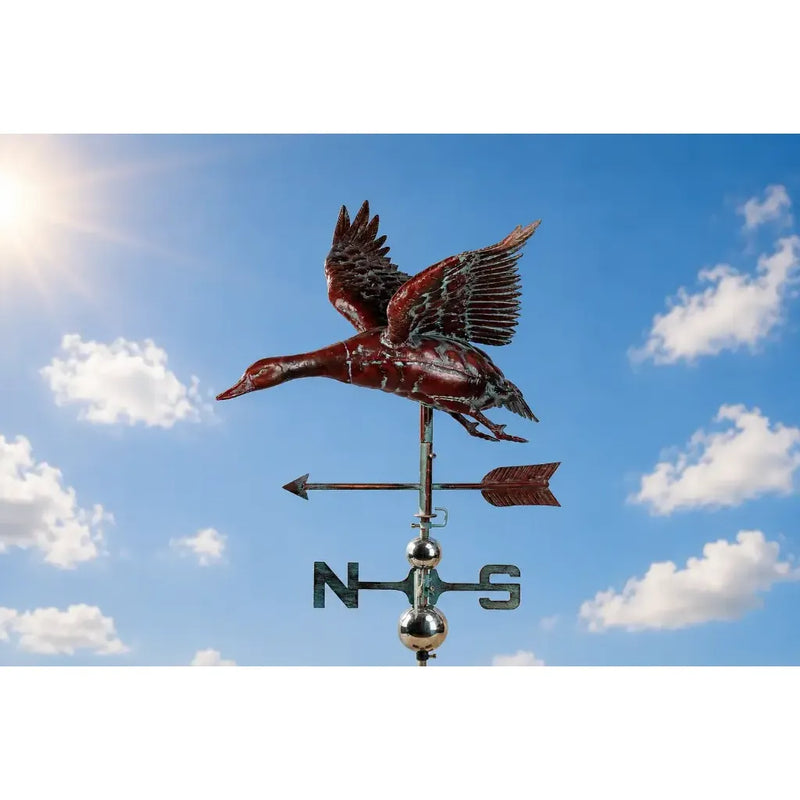 Girouette canard 3D (1) — MD13003