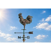 Girouette coq 3D (1) — MD13006