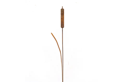 1 Massette Ecorouille® (6) — MD14011
