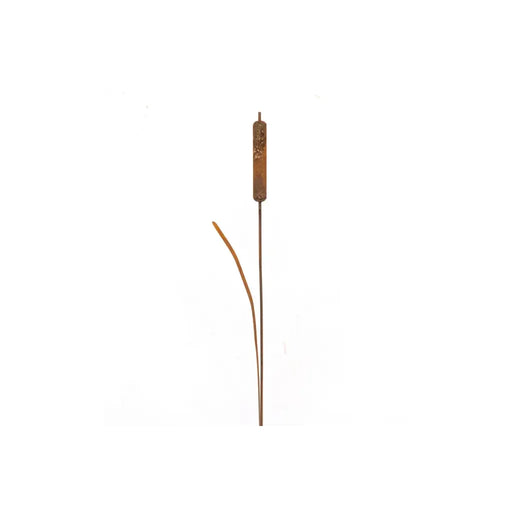 1 Massette Ecorouille® (6) — MD14011