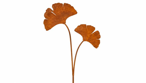 2 Ginkgo biloba Ecorouille® (2) — MD14013