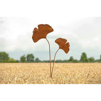 2 Ginkgo biloba Ecorouille® (2) — MD14013