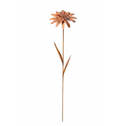 Fleur sauvage 3D Étoile du matin Ecorouille® (4) — MD14018