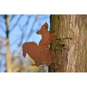 Écureuil vis d'arbre Ecorouille® (6) — MD14051