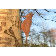 Pique-bois vis d'arbre Ecorouille®(6) — MD14067