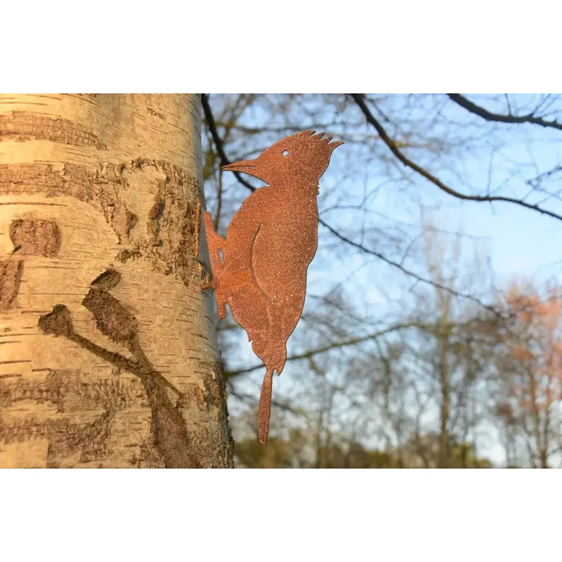 Pique-bois vis d'arbre Ecorouille®(6) — MD14067