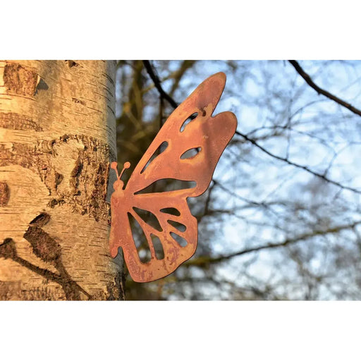 Pappilon vis d'arbre Ecorouille®(6) — MD14070