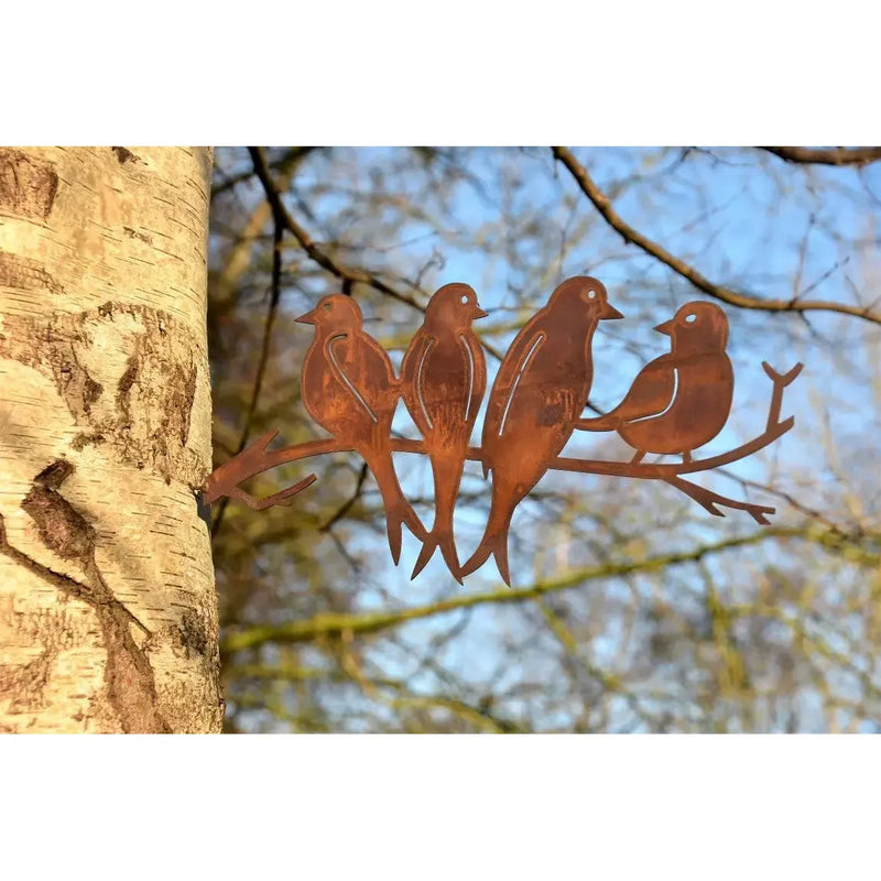 Oiseaux vis d'arbre Ecorouille®(6) — MD14072