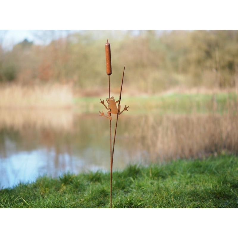 Piquet de jardin Lisdodde Ecorouille® (4) — MD14135