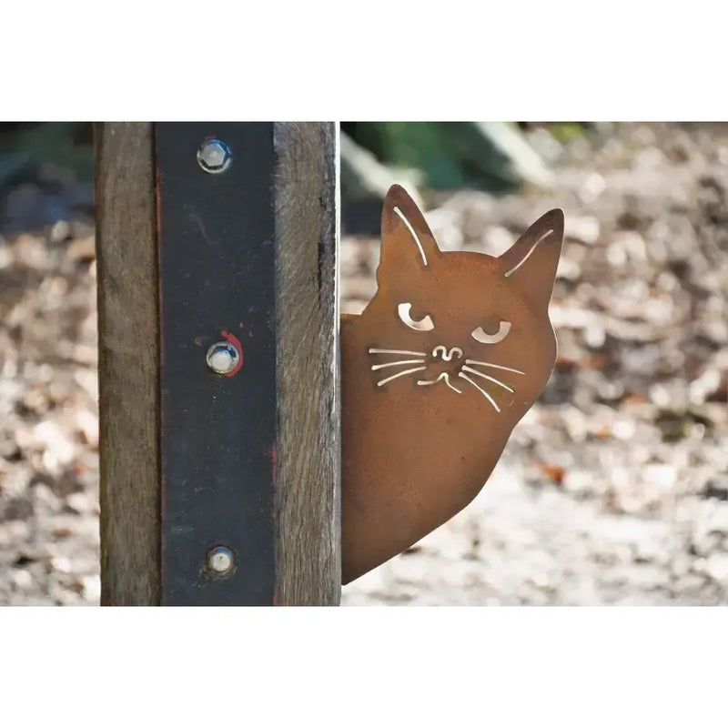 Chat EcoRouille® (6) — MD14149