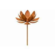 Fleur – Écorouille — MD14159