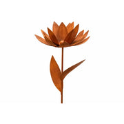 Fleur – Écorouille — MD14161