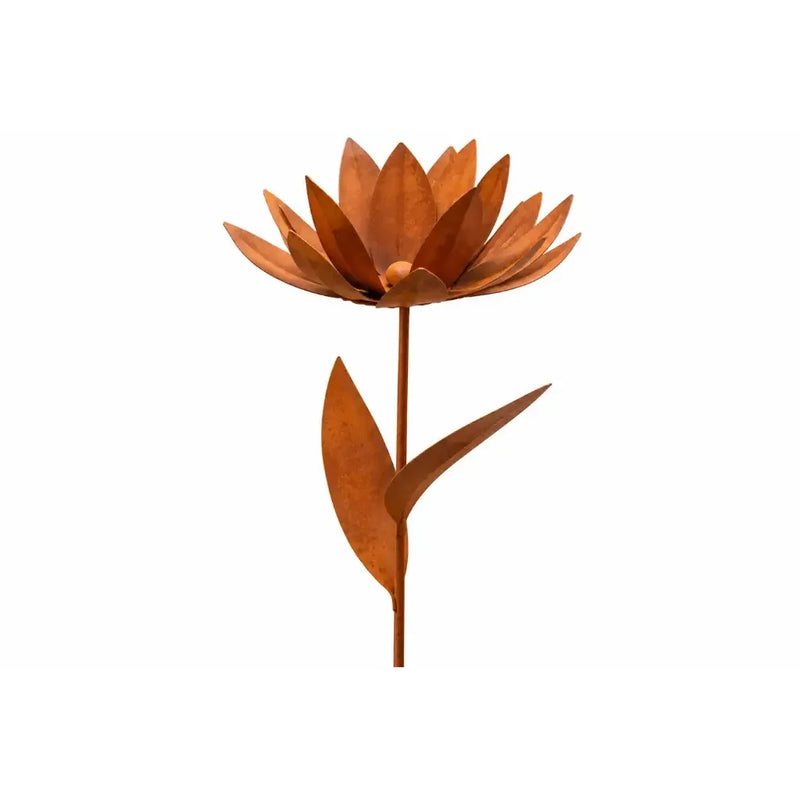 Fleur – Écorouille — MD14161