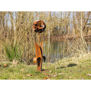 Rose Éco-rouille (2) — MD14191