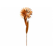 Fleur éco-rouille (2) — MD14199