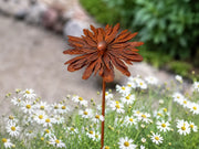 Fleur sur Tige (6) — MD14254