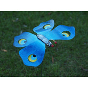 Papillon 30 X 60 Bleu (6) — MD16066