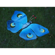 Papillon 30 X 60 Bleu (6) — MD16066