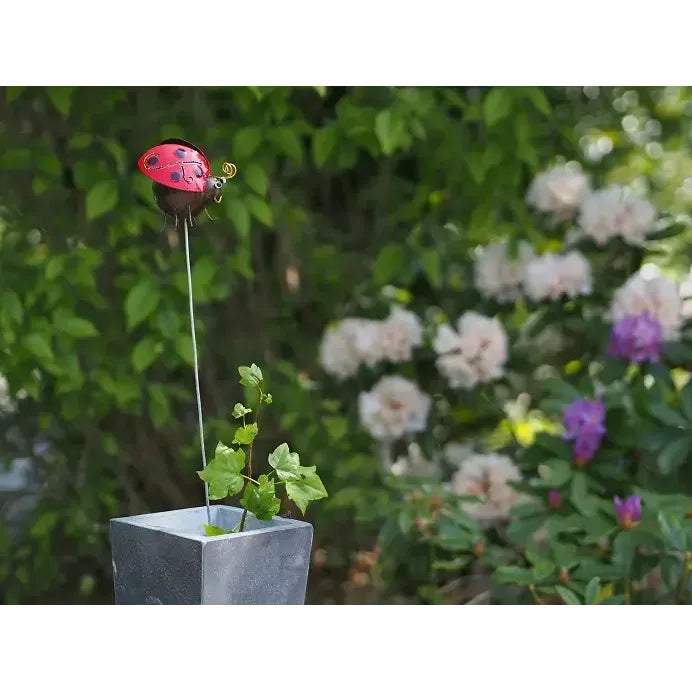 Tuteur Coccinelle — MD16140