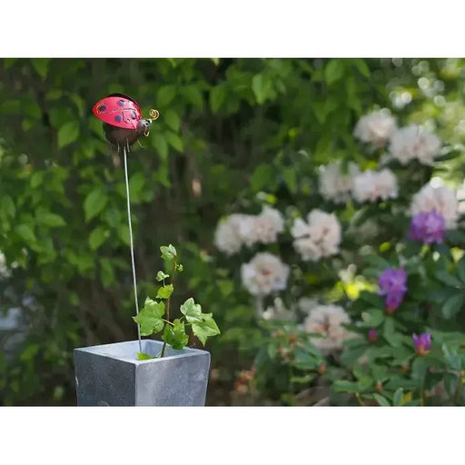 Tuteur Coccinelle — MD16140