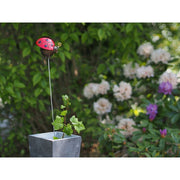 Tuteurs Assortiment (15) — MD16144