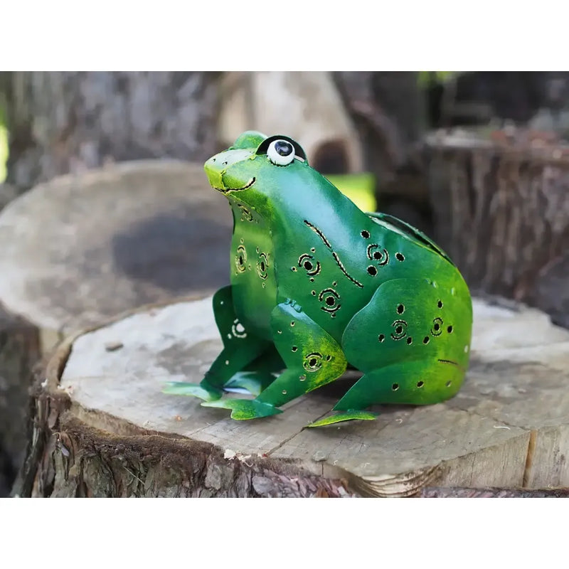 Grenouille (6) — MD16160