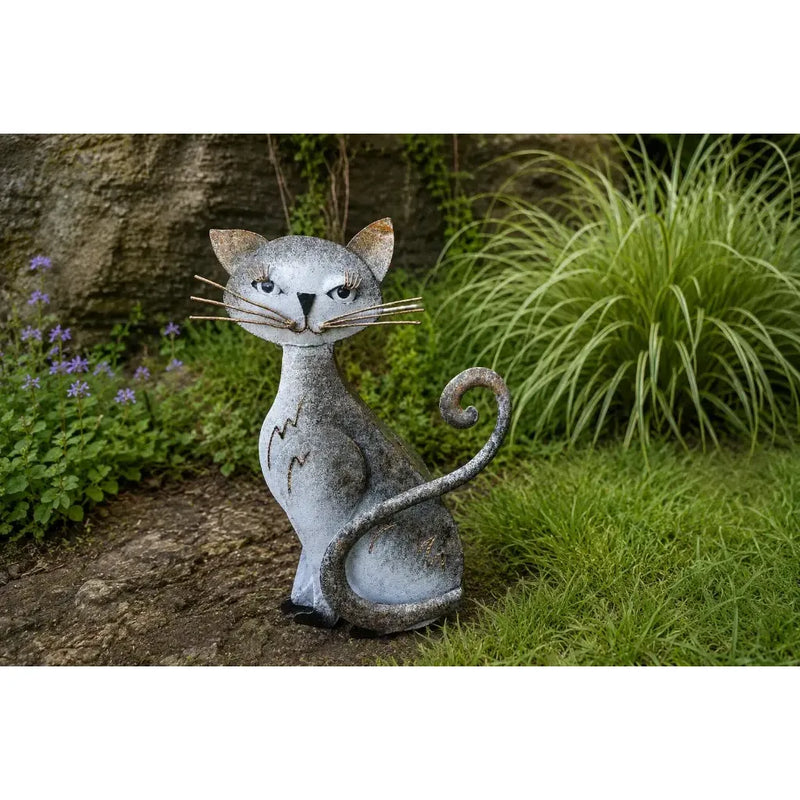 Chat (4) — MD16165