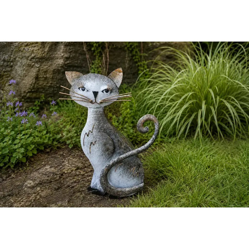 Chat (4) — MD16165