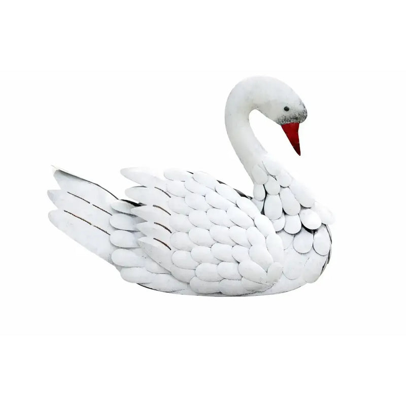 Cygne (6) — MD16198