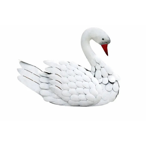 Cygne (6) — MD16198