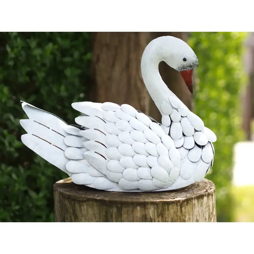 Cygne (6) — MD16198